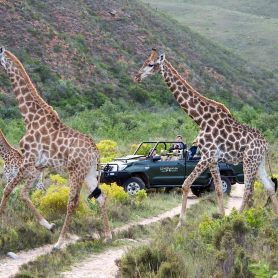 Gondwana Game Reserve